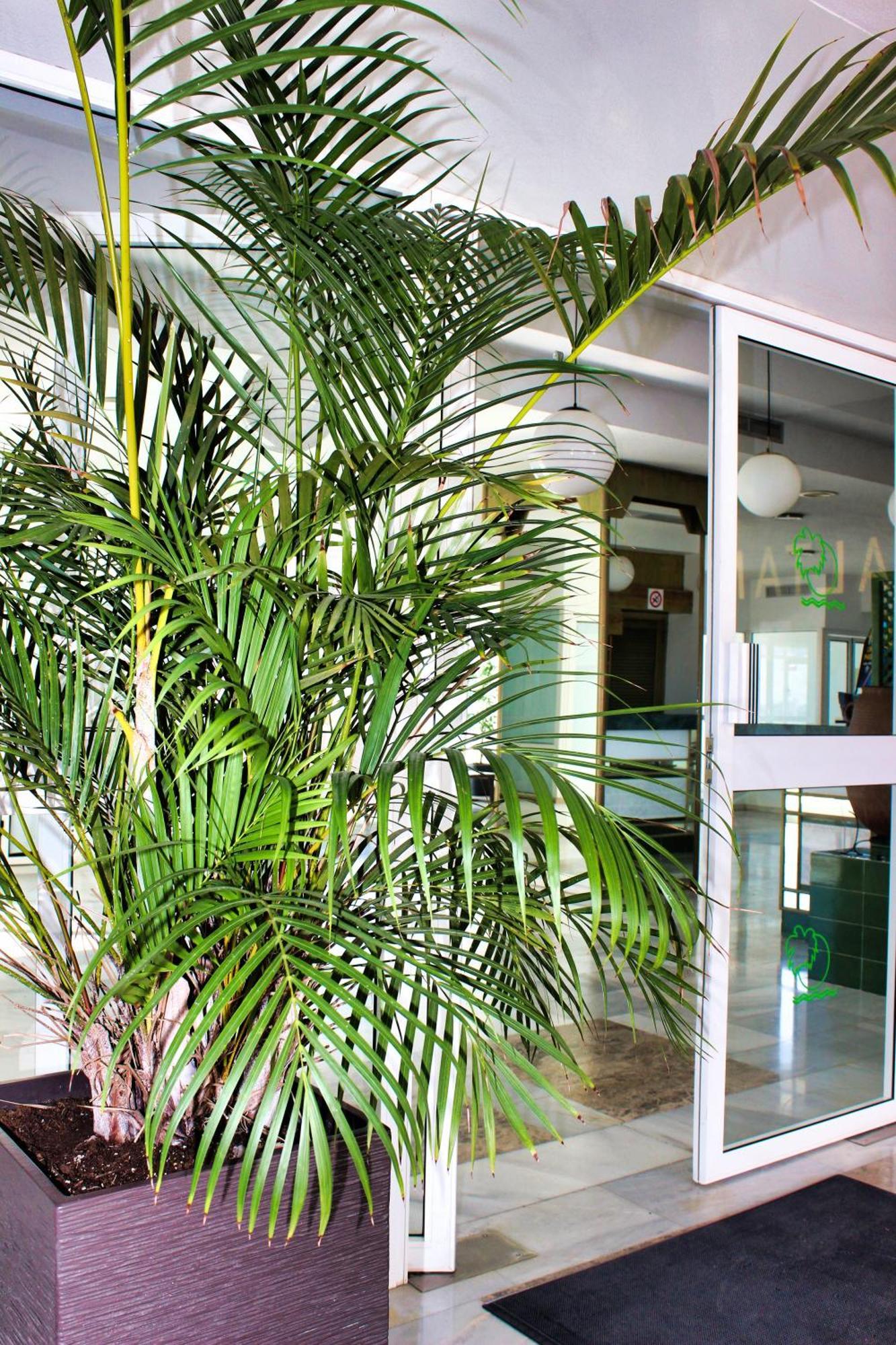 Altamira Sunset Apartment Costa Adeje  Exterior photo